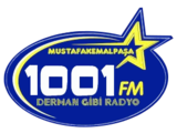 1001 Fm Bursa logosu
