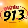 Niğde Fm 91.3 logosu